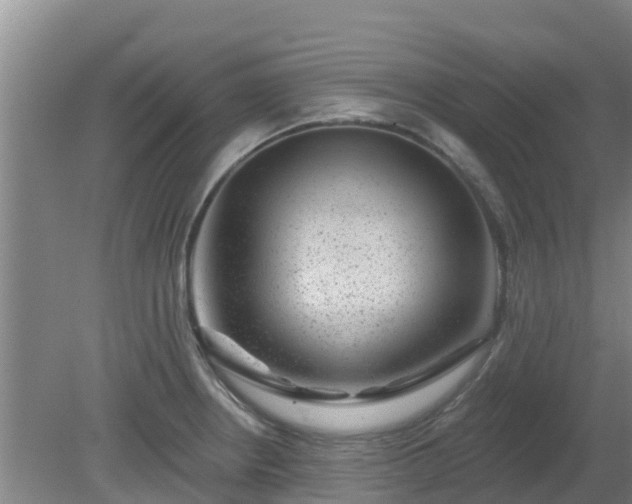 X0000080181234200612151940