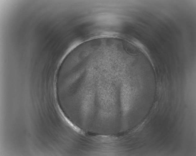 X0000080181235200612151940