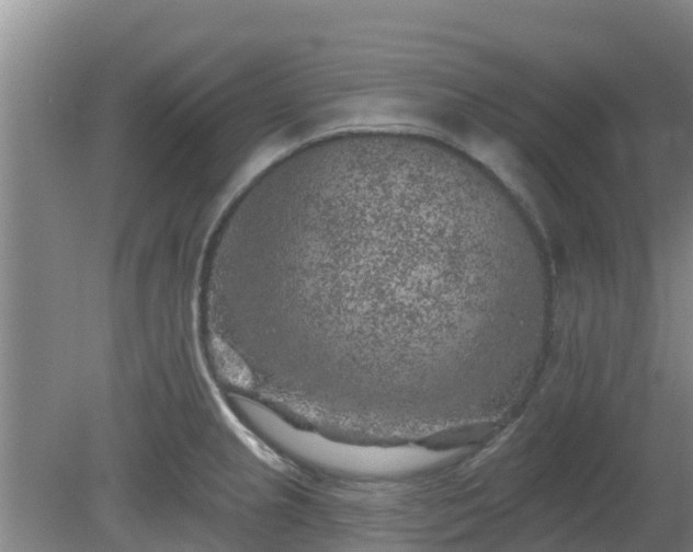 X0000080181237200612151940