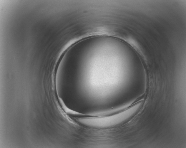 X0000080181238200612151940