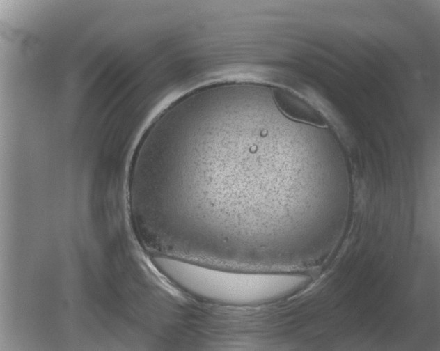 X0000080181240200612151940