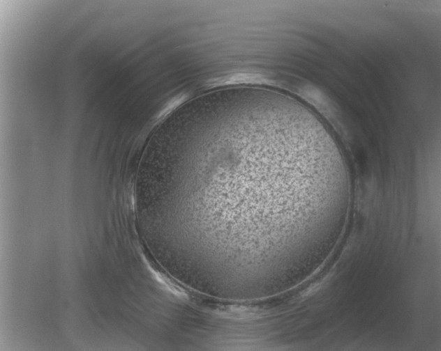 X0000080181241200612151940