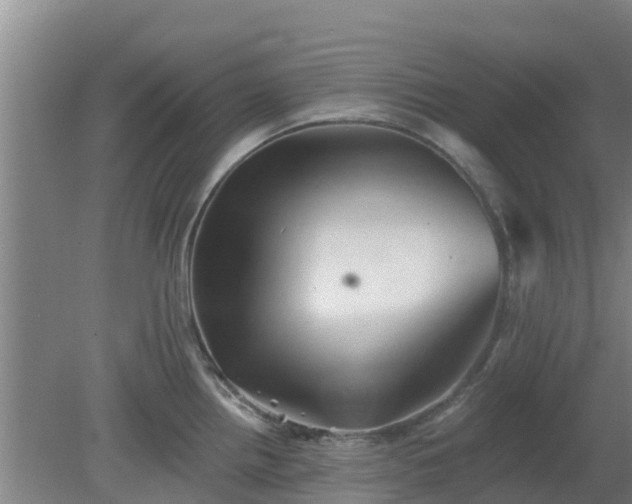 X0000080181242200612151940