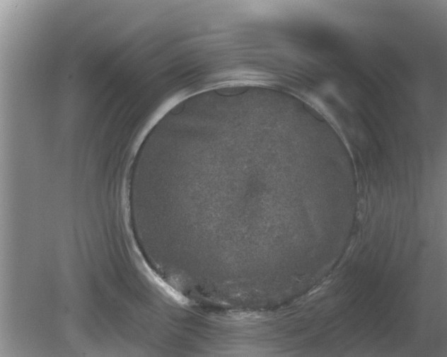 X0000080181243200612151940