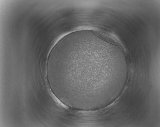 X0000080181244200612151940