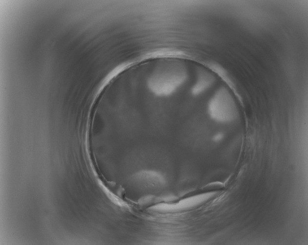 X0000080181245200612151940