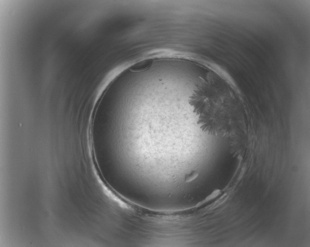 X0000080181247200612151940