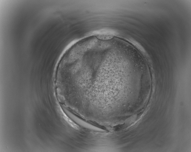 X0000080181248200612151940