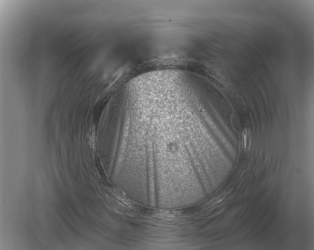 X0000080181251200612151939