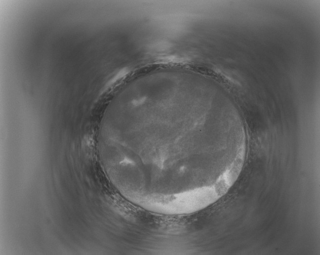 X0000080181254200612151939