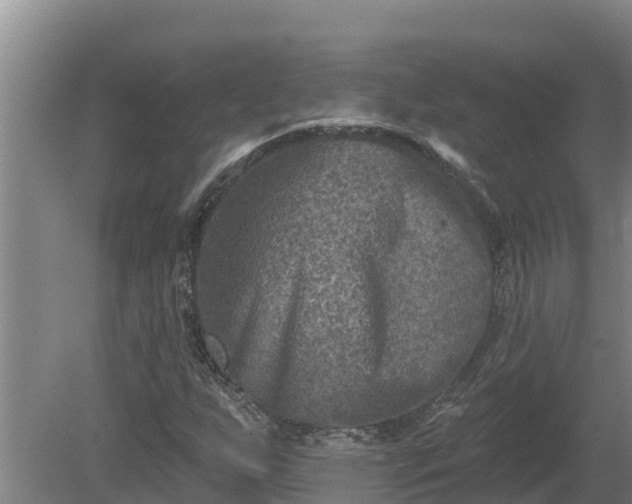 X0000080181255200612151939