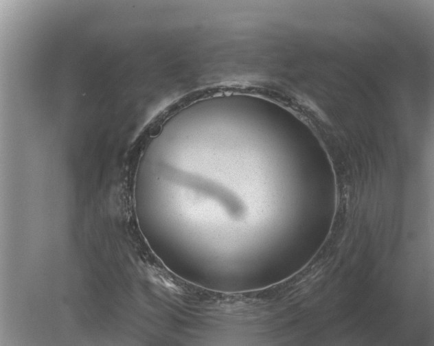 X0000080181256200612151939