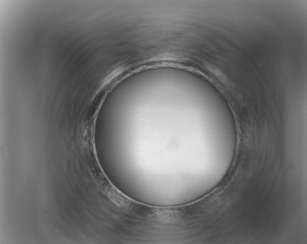 X0000080181258200612151939