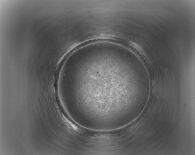 X0000080181260200612151939