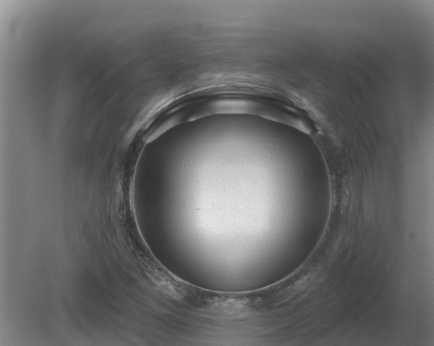 X0000080181261200612151939