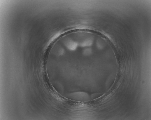 X0000080181263200612151939