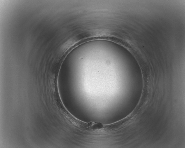 X0000080181265200612151939