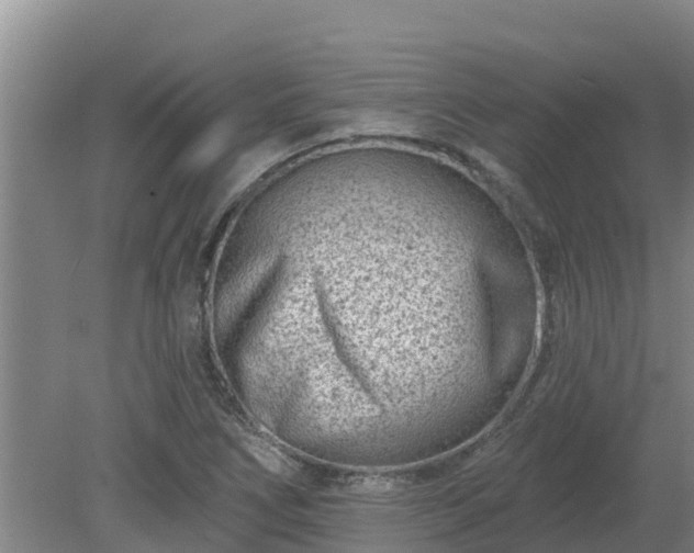 X0000080181266200612151939