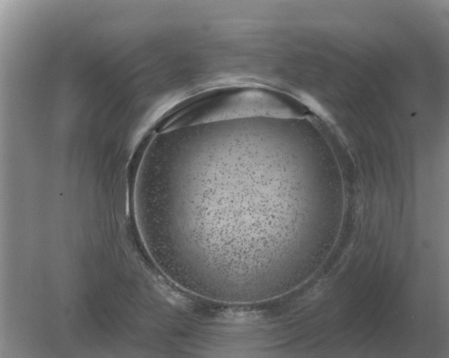 X0000080181269200612151939