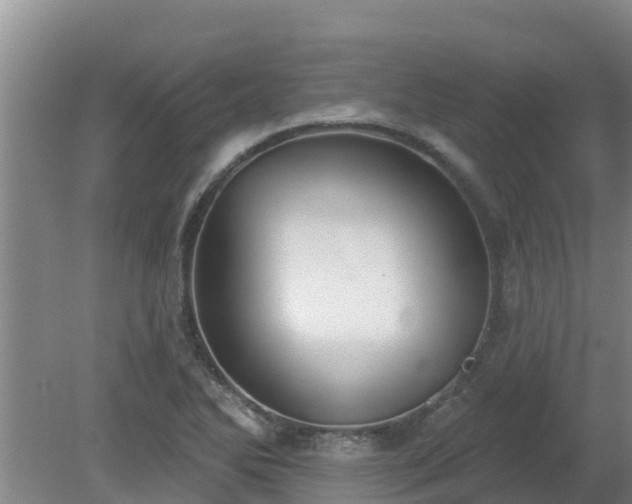 X0000080181270200612151939