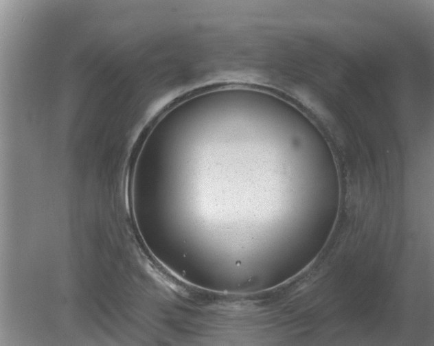 X0000080181272200612151939