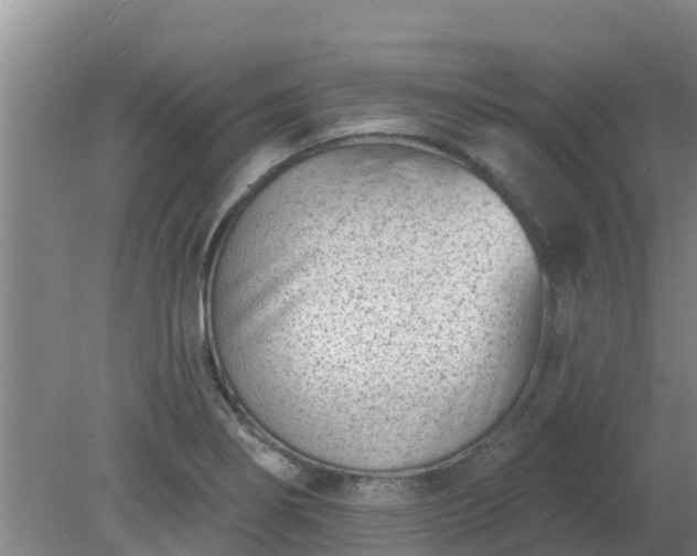 X0000080181274200612151939