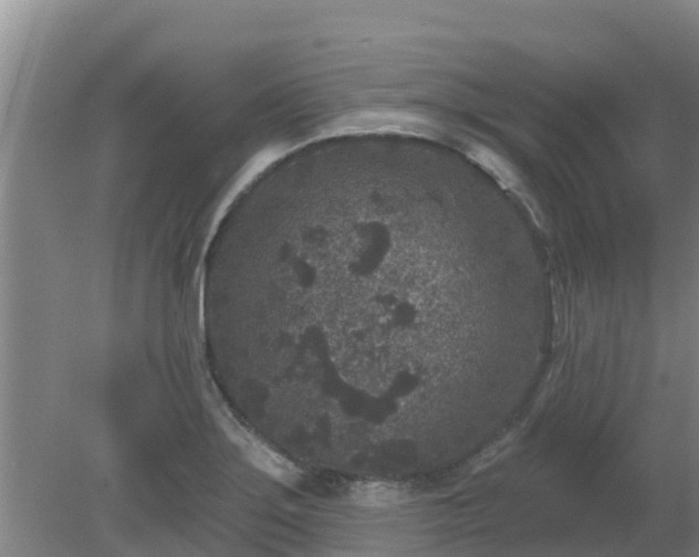 X0000080181275200612151939