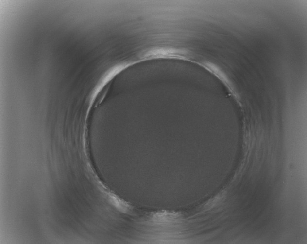 X0000080181277200612151939