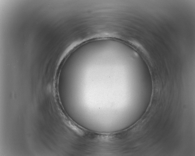 X0000080181278200612151939