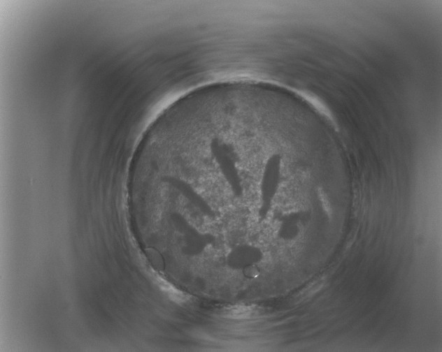 X0000080181279200612151939