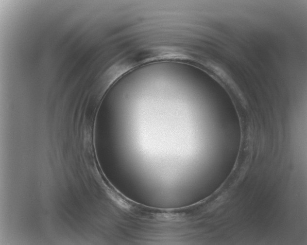 X0000080181281200612151939