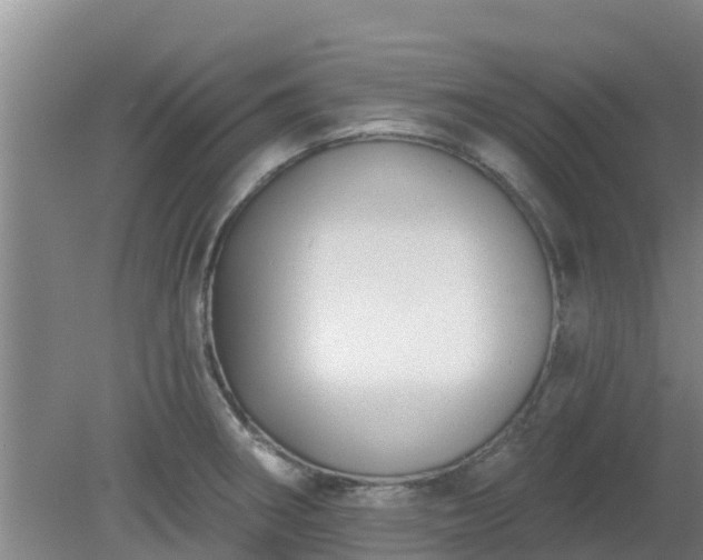 X0000080181282200612151939