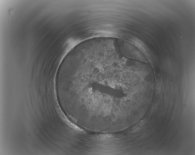 X0000080181283200612151939