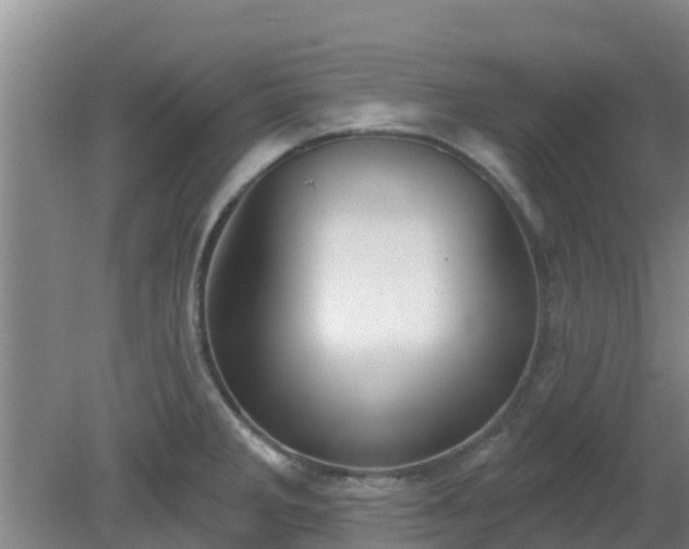 X0000080181285200612151939