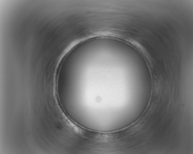 X0000080181286200612151939