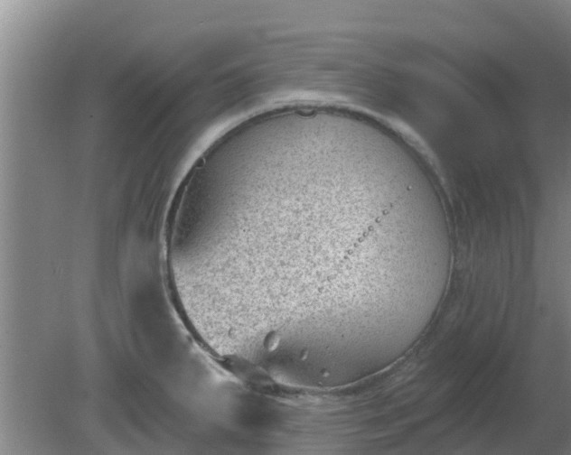 X0000080181287200612151939