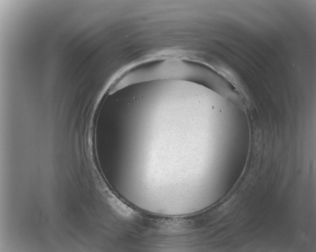 X0000080181288200612151939