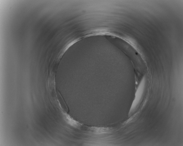 X0000080181289200612151939