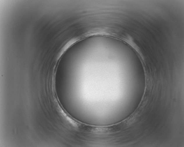 X0000080181290200612151939