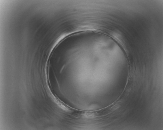 X0000080181291200612151939