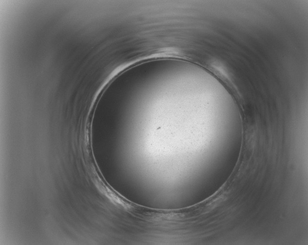 X0000080181292200612151939