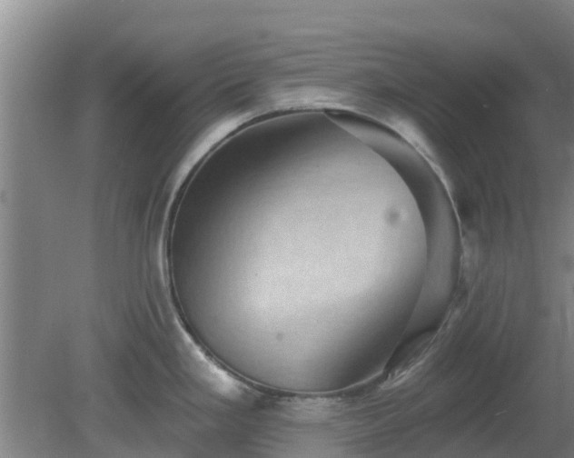 X0000080181293200612151939