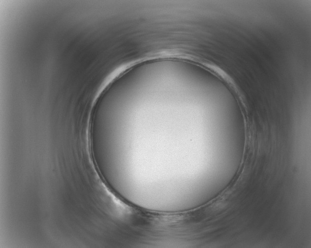 X0000080181294200612151939