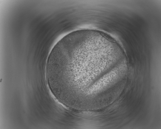 X0000080181295200612151939