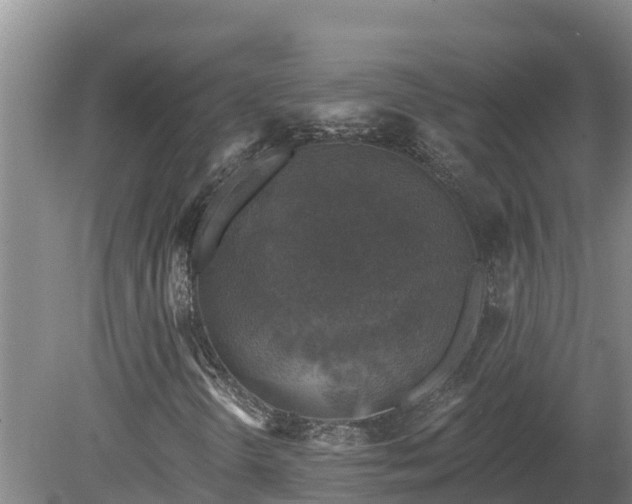 X0000080181298200612151938