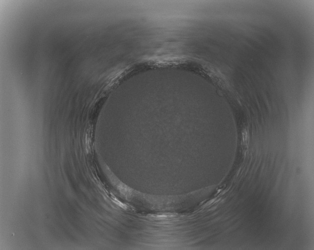 X0000080181300200612151938