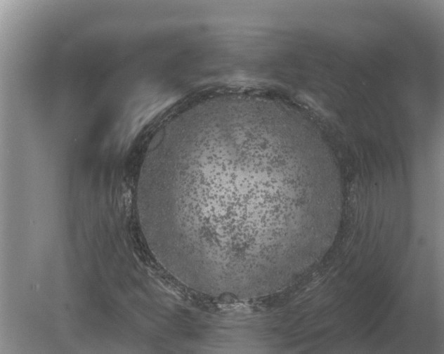 X0000080181302200612151938