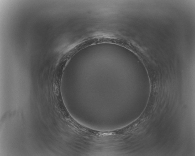 X0000080181303200612151938