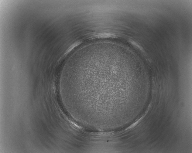 X0000080181305200612151938