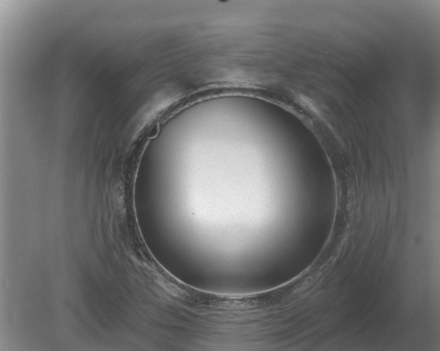 X0000080181307200612151938